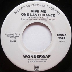 Wondergap Give Me One Last Chance Vinyl 7" USED
