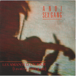 Andi Sex Gang Les Amants D'un Jour Vinyl 7" USED