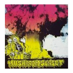 The Aborted Mushroom Sunset USED VINYL 7INCH 33 S RPM