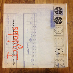 Ivylabs Self Aggregation Vinyl 12" USED