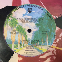 Ronnie Montrose Town Without Pity Vinyl 12" USED
