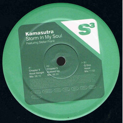 Kamasutra Storm In My Soul VINYL 12" USED
