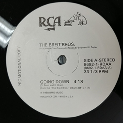 The Breit Bros. Going Down Vinyl 12" USED