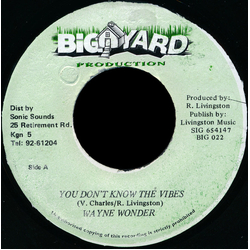 Wayne Wonder You Don't Know The Vibes Vinyl 7" USED