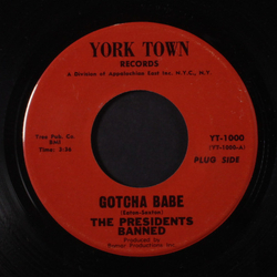The Presidents Banned Gotcha Babe Vinyl 7" USED