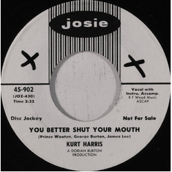 Kurt Harris You Better Shut Your Mouth Vinyl 7" USED