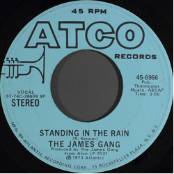 James Gang Standing In The Rain Vinyl 7" USED