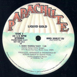 Liquid Gold Dance Yourself Dizzy USED VINYL 12INCH 33 S RPM PROMO