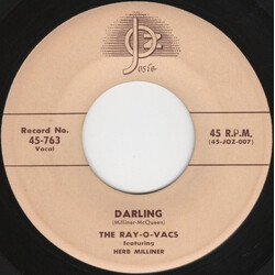 The Ray-O-Vacs Darling / Ridin' High USED VINYL 7INCH 45 RPM SINGLE