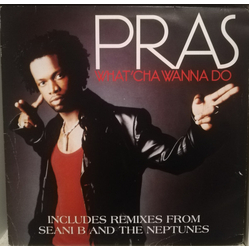 Pras Michel What'cha Wanna Do Vinyl 12" USED