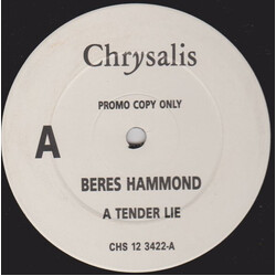 Beres Hammond A Tender Lie USED VINYL 12INCH PROMO