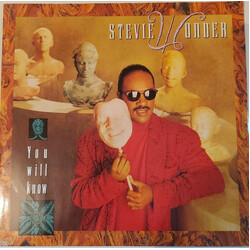 Stevie Wonder You Will Know USED VINYL 12INCH 45 RPM
