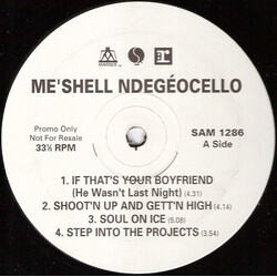 Me'Shell NdegéOcello Me'Shell NdegéOcello USED VINYL 12INCH PROMO 33 S RPM