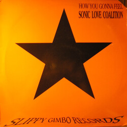 Sonic Love Coalition How You Gonna Feel Vinyl 12" USED
