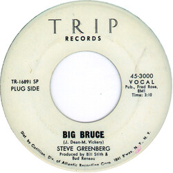 Steve Greenberg (2) Big Bruce USED VINYL 7INCH 45 RPM SINGLE PROMO