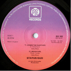 Status Quo Down The Dustpipe USED VINYL 12INCH 45 RPM SINGLE