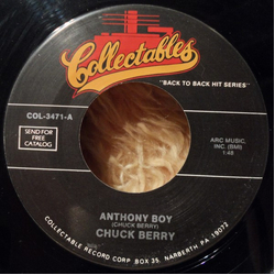 Chuck Berry Anthony Boy / Havana Moon Vinyl 7" USED
