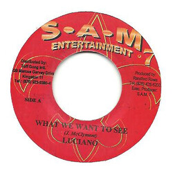 Luciano (2) What We Want To See Vinyl 7" USED