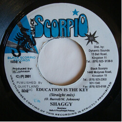Shaggy Education Is The Key USED VINYL 7INCH 45 RPM