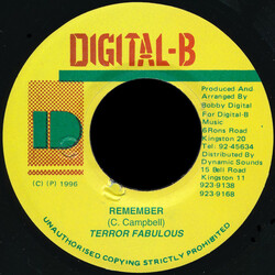 Terror Fabulous Remember USED VINYL 7INCH 45 RPM