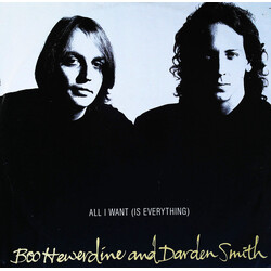 Boo Hewerdine / Darden Smith All I Want (Is Everything) USED VINYL 12INCH