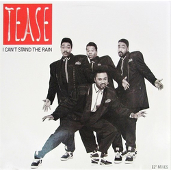 Tease I Can't Stand The Rain Vinyl 12" USED