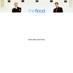 The Flood Right Here, Right Now VINYL 12" USED