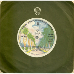 Ron Wood I Can Feel The Fire Vinyl 7" USED