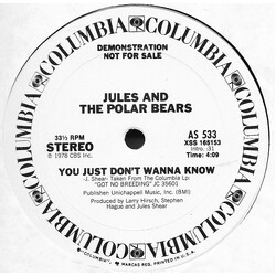 Jules And The Polar Bears You Just Don't Wanna Know Vinyl 12" USED