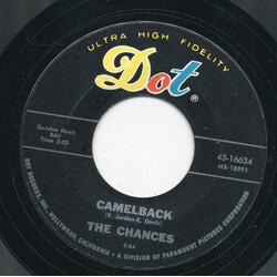 The Chances Camelback / Blackgrass USED VINYL 7INCH 45 RPM SINGLE STYRENE