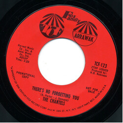 The Chantels There's No Forgetting You / Take Me As I Am USED VINYL 7INCH 45 RPM PROMO STYRENE