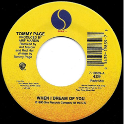 Tommy Page When I Dream Of You Vinyl 7" USED