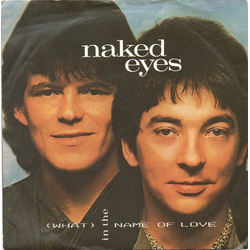 Naked Eyes (What) In The Name Of Love Vinyl 7" USED