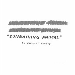 Parquet Courts Sunbathing Animal USED VINYL 7INCH RECORD STORE DAY SINGLE LIMITED EDITION