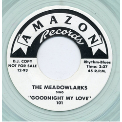 Don Julian & The Meadowlarks Goodnight My Love /  This I Swear Vinyl 7" USED