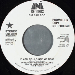 Big Bam Boo If You Could See Me Now USED VINYL 7INCH 45 RPM SINGLE PROMO