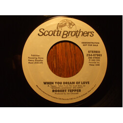 Robert Tepper When You Dream Of Love USED VINYL 7INCH 45 RPM SINGLE PROMO