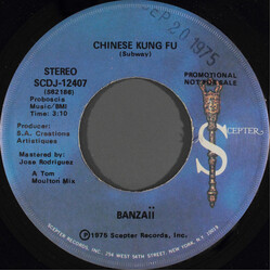 Banzaii Chinese Kung Fu USED VINYL 7INCH 45 RPM PROMO