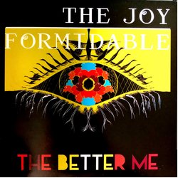 The Joy Formidable The Better Me / Dance Of The Lotus (Acoustic) Vinyl 7" USED