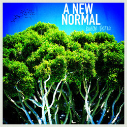 A New Normal Raison D'etre Vinyl LP USED