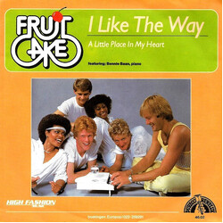 Fruitcake I Like The Way VINYL 7" USED