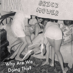 Brick Mower Why Are We Doing This? USED VINYL 7INCH