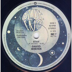 David Winter Stay USED VINYL 7"