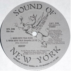 Indeep When Boys Talk USED VINYL 12INCH 33 S RPM STEREO