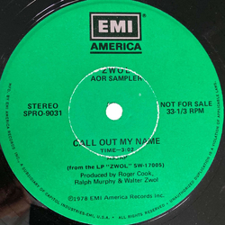 Walter Zwol AOR Sampler USED VINYL 12INCH PROMO