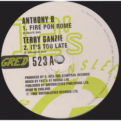 Anthony B / Terry Ganzie / Anthony B / Determine Fire Pon Rome / It's Too Late / Run Come / Perilous Time USED VINYL 12INCH 45 RPM EP