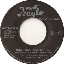 David Hudson (2) Now That Love Is Gone USED VINYL 7INCH 45 RPM