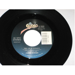James Bonamy Dog On A Toolbox / She's Got A Mind Of Her Own Vinyl 7" USED
