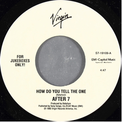 After 7 How Do You Tell The One Vinyl 7" USED