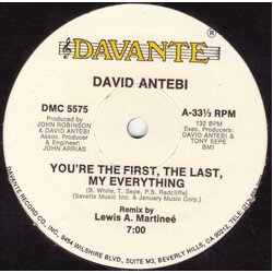 David Antebi You're The First, The Last, My Everything VINYL 12" USED